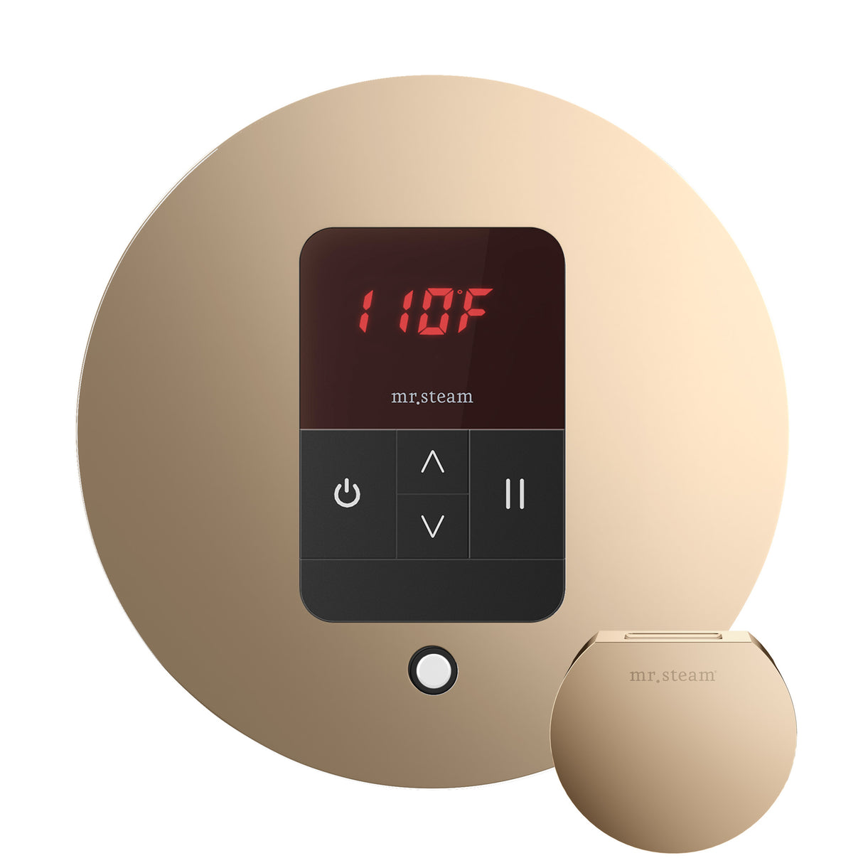 Mr. Steam iTempo Round Steam Shower Control and Steamhead Mr. Steam