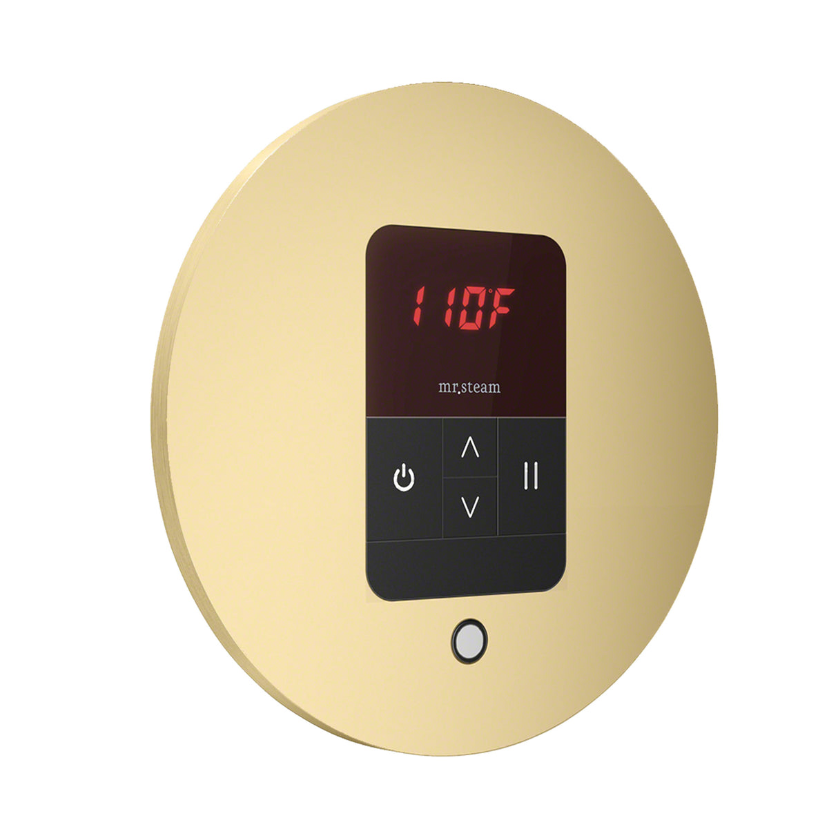 Mr. Steam iTempo Round Steam Shower Control and Steamhead Mr. Steam