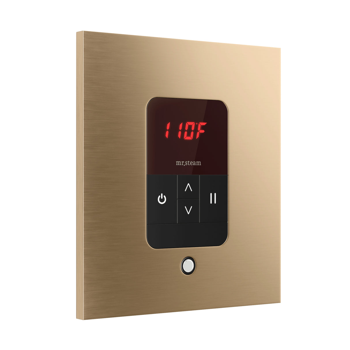 Mr. Steam iTempo Square Steam Shower Control and Steamhead Mr. Steam