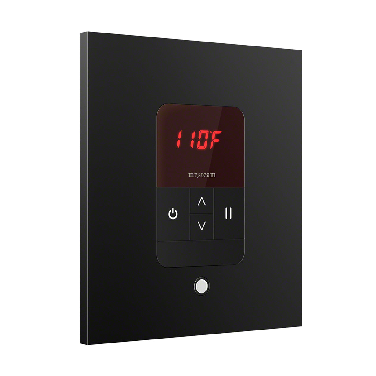 Mr. Steam iTempo Square Steam Shower Control and Steamhead Mr. Steam