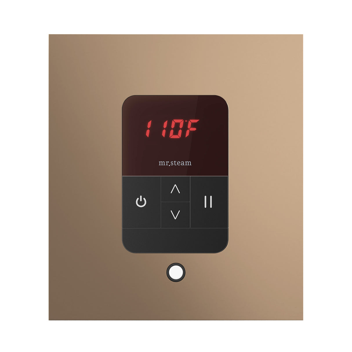 Mr. Steam iTempo Square Steam Shower Control and Steamhead Mr. Steam