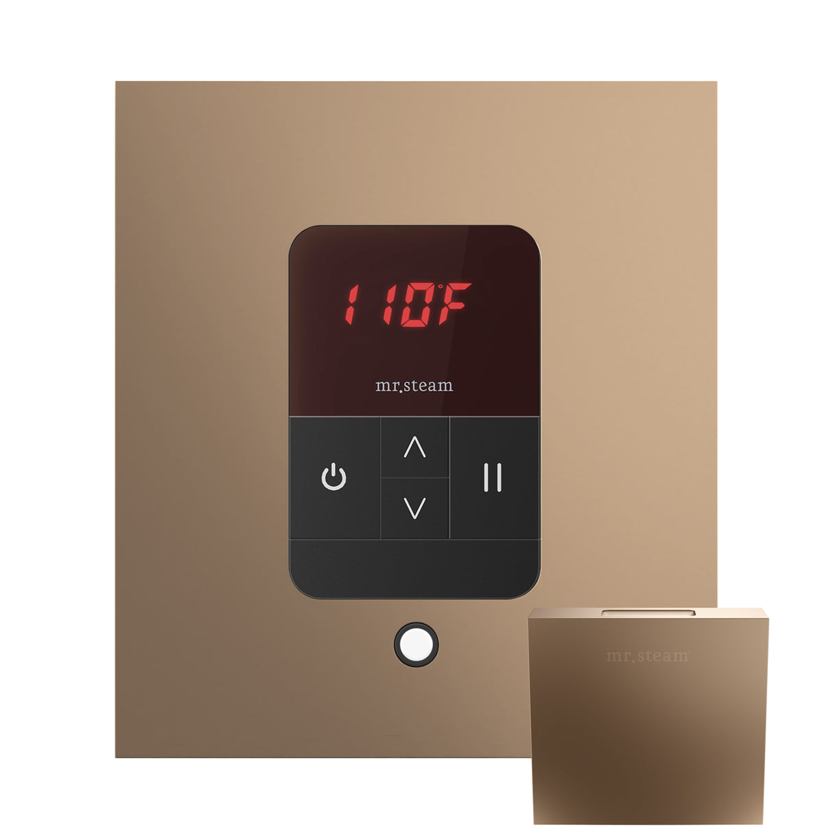 Mr. Steam iTempo Square Steam Shower Control and Steamhead Mr. Steam