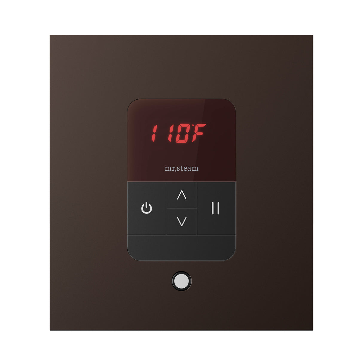 Mr. Steam iTempo Square Steam Shower Control and Steamhead Mr. Steam