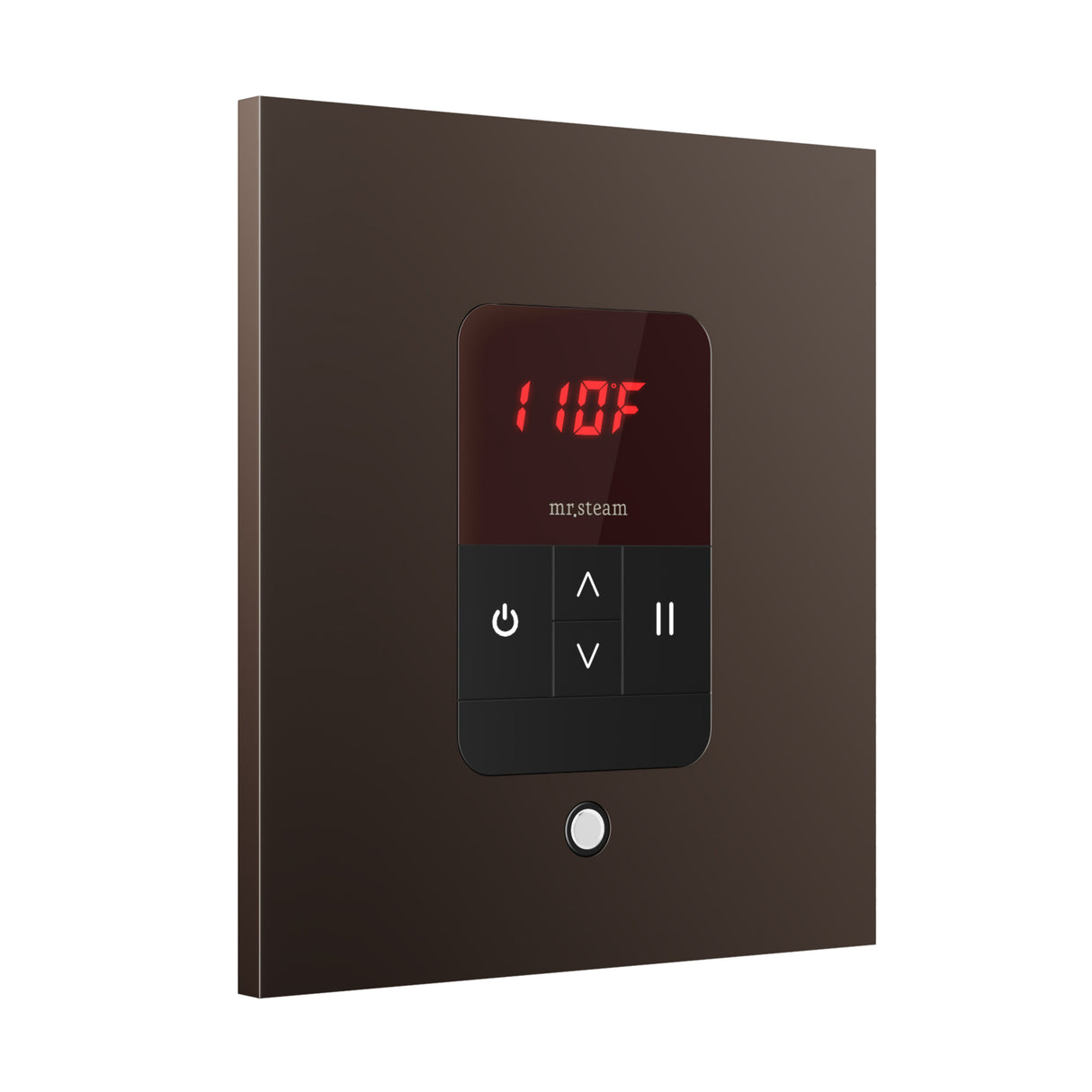 Mr. Steam iTempo Square Steam Shower Control and Steamhead Mr. Steam