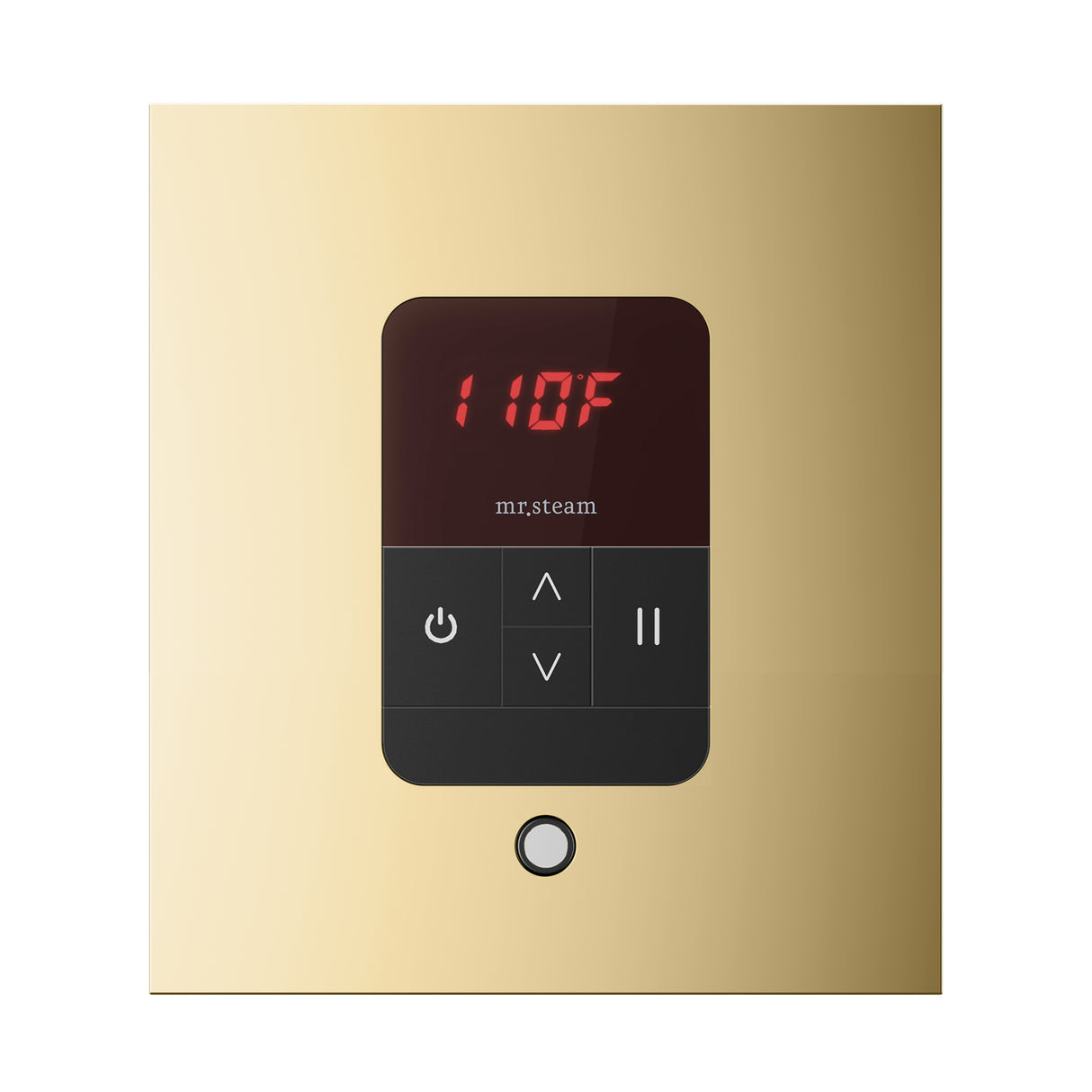 Mr. Steam iTempo Square Steam Shower Control and Steamhead Mr. Steam