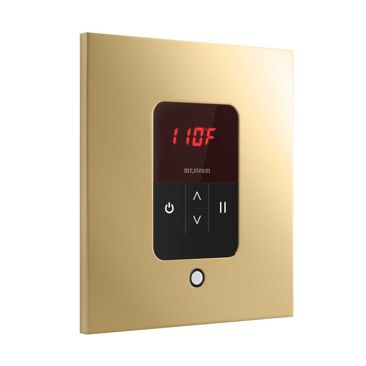 Mr. Steam iTempo Square Steam Shower Control and Steamhead Mr. Steam