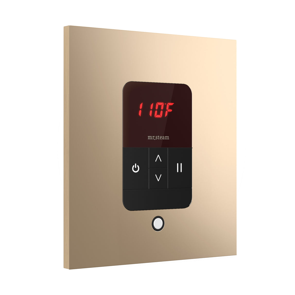 Mr. Steam iTempo Square Steam Shower Control and Steamhead Mr. Steam