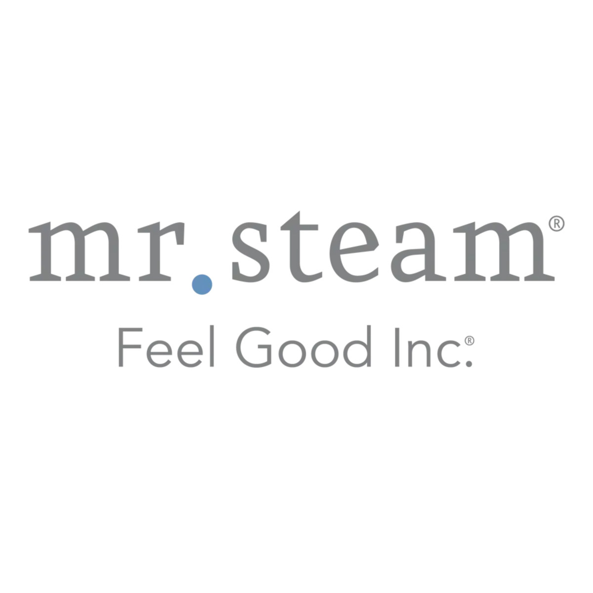 Mr. Steam 104731 Box Shaped Acrylic Shield Mr. Steam