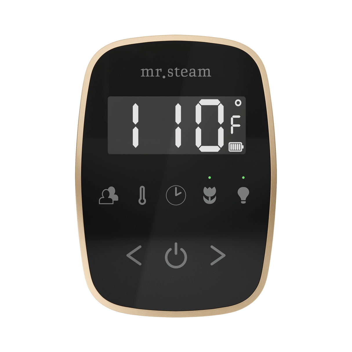 Mr. Steam TempoFlex Steam Shower Control and Steamhead Mr. Steam