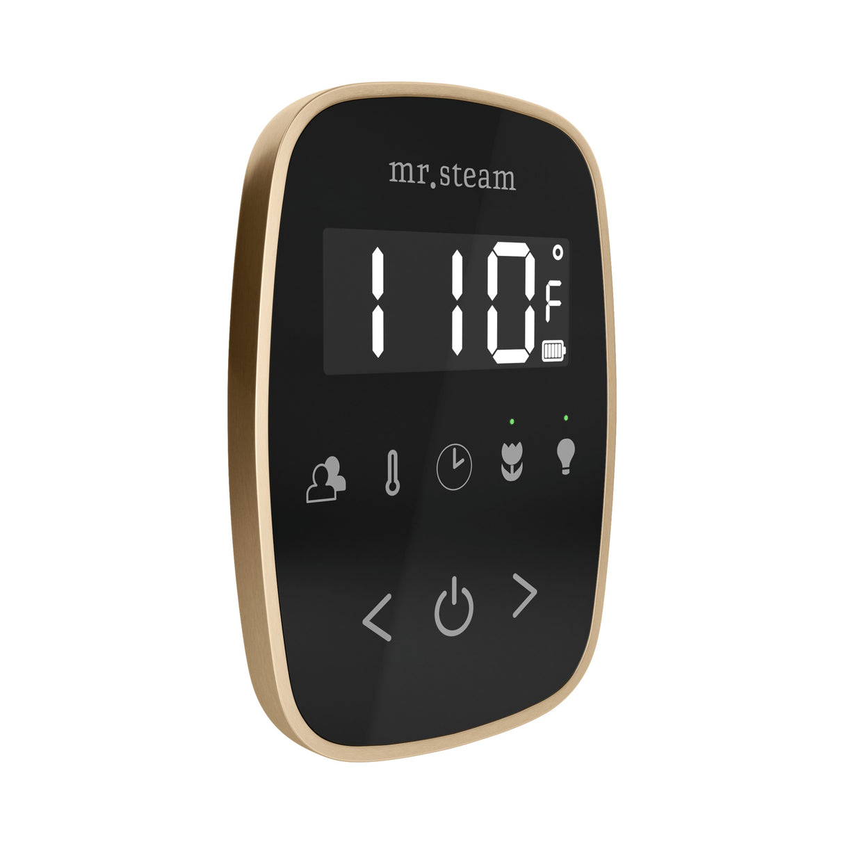 Mr. Steam TempoFlex Steam Shower Control and Steamhead Mr. Steam