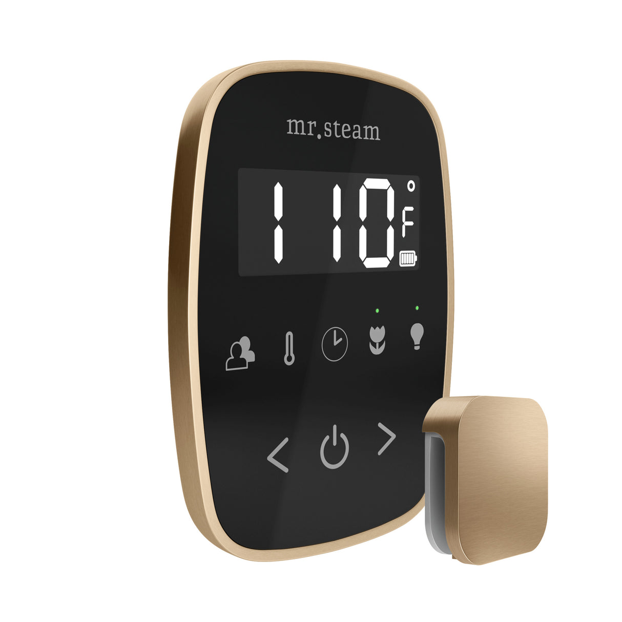 Mr. Steam TempoFlex Steam Shower Control and Steamhead Mr. Steam