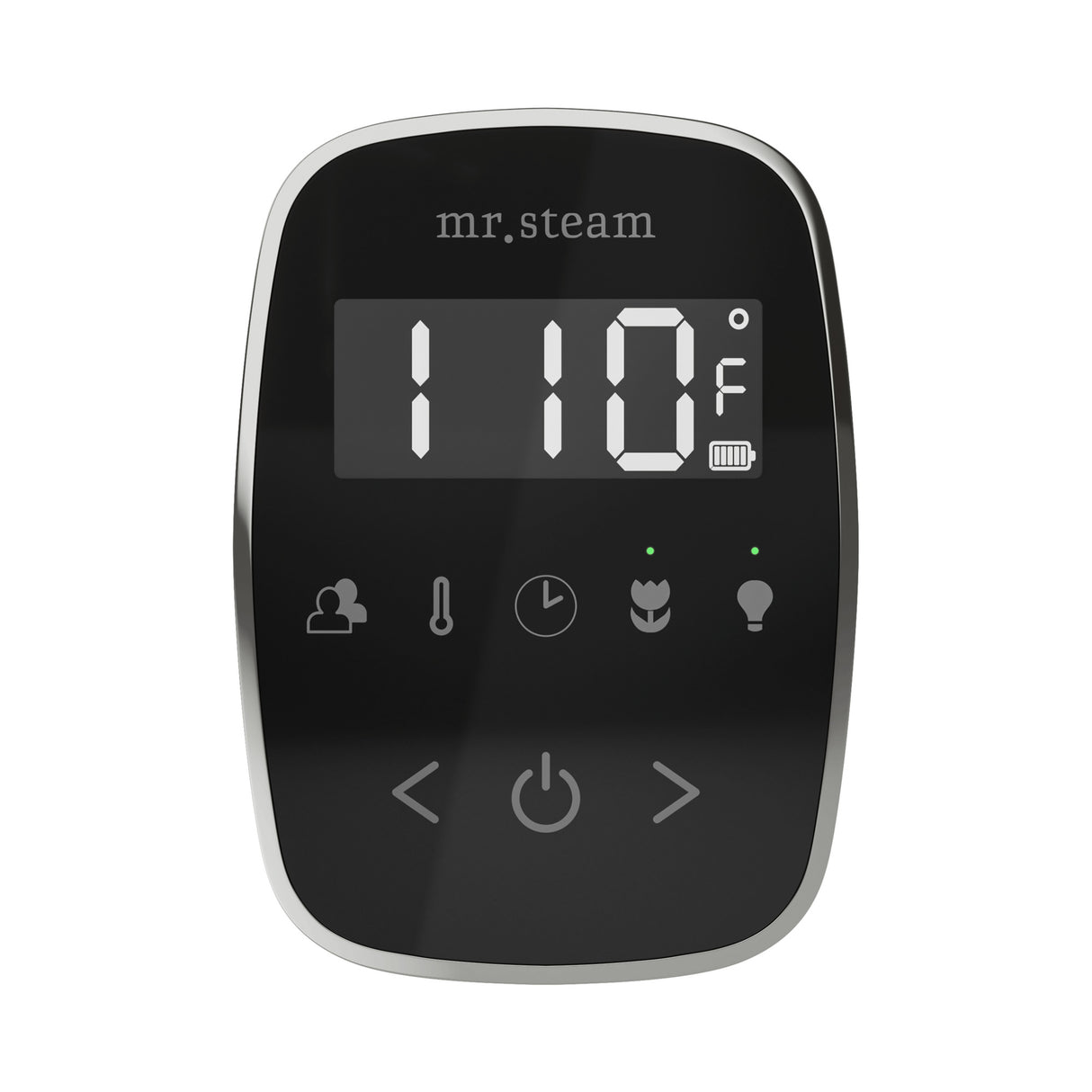 Mr. Steam TempoFlex Steam Shower Control and Steamhead Mr. Steam