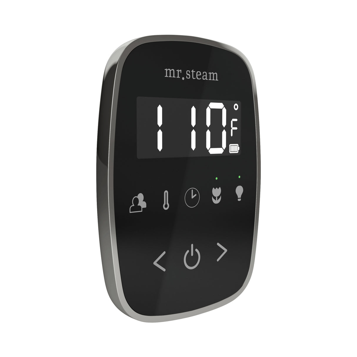 Mr. Steam TempoFlex Steam Shower Control and Steamhead Mr. Steam