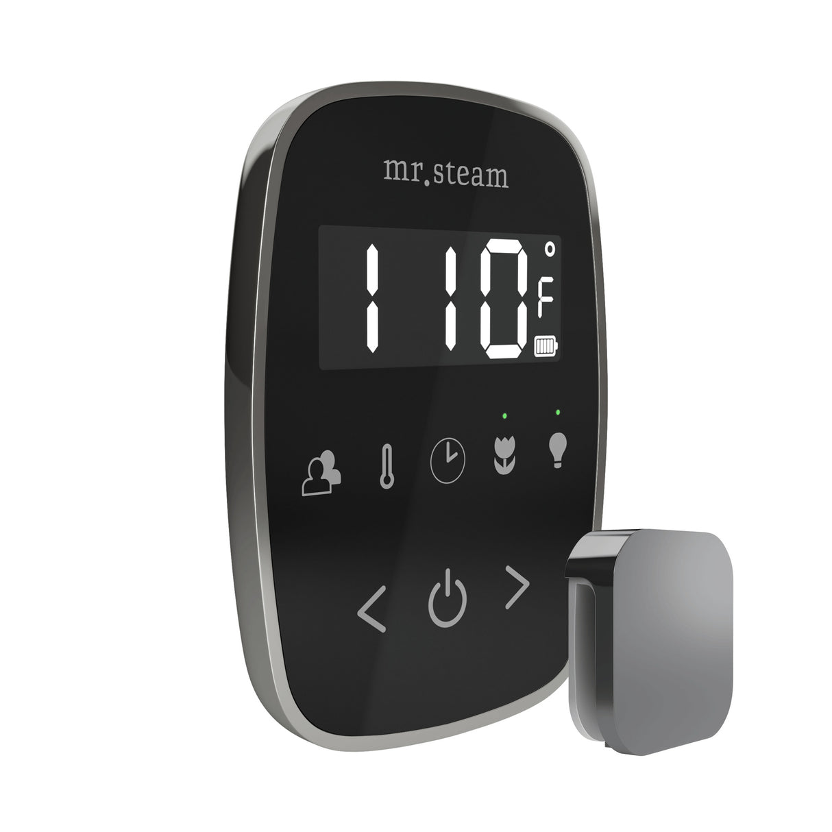 Mr. Steam TempoFlex Steam Shower Control and Steamhead Mr. Steam