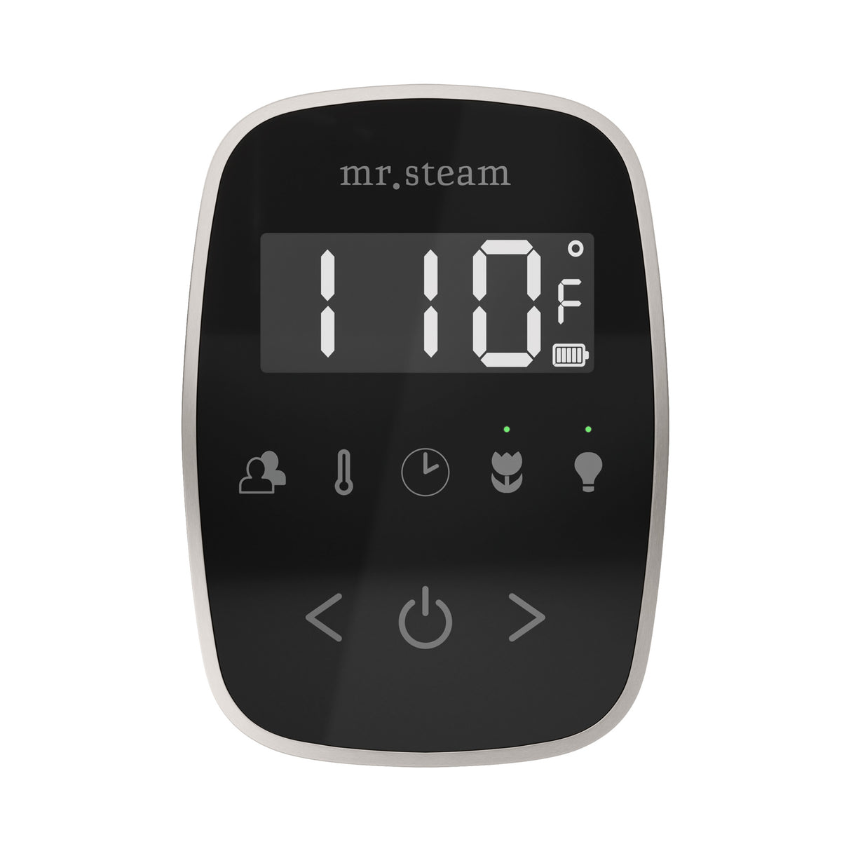 Mr. Steam TempoFlex Steam Shower Control and Steamhead Mr. Steam