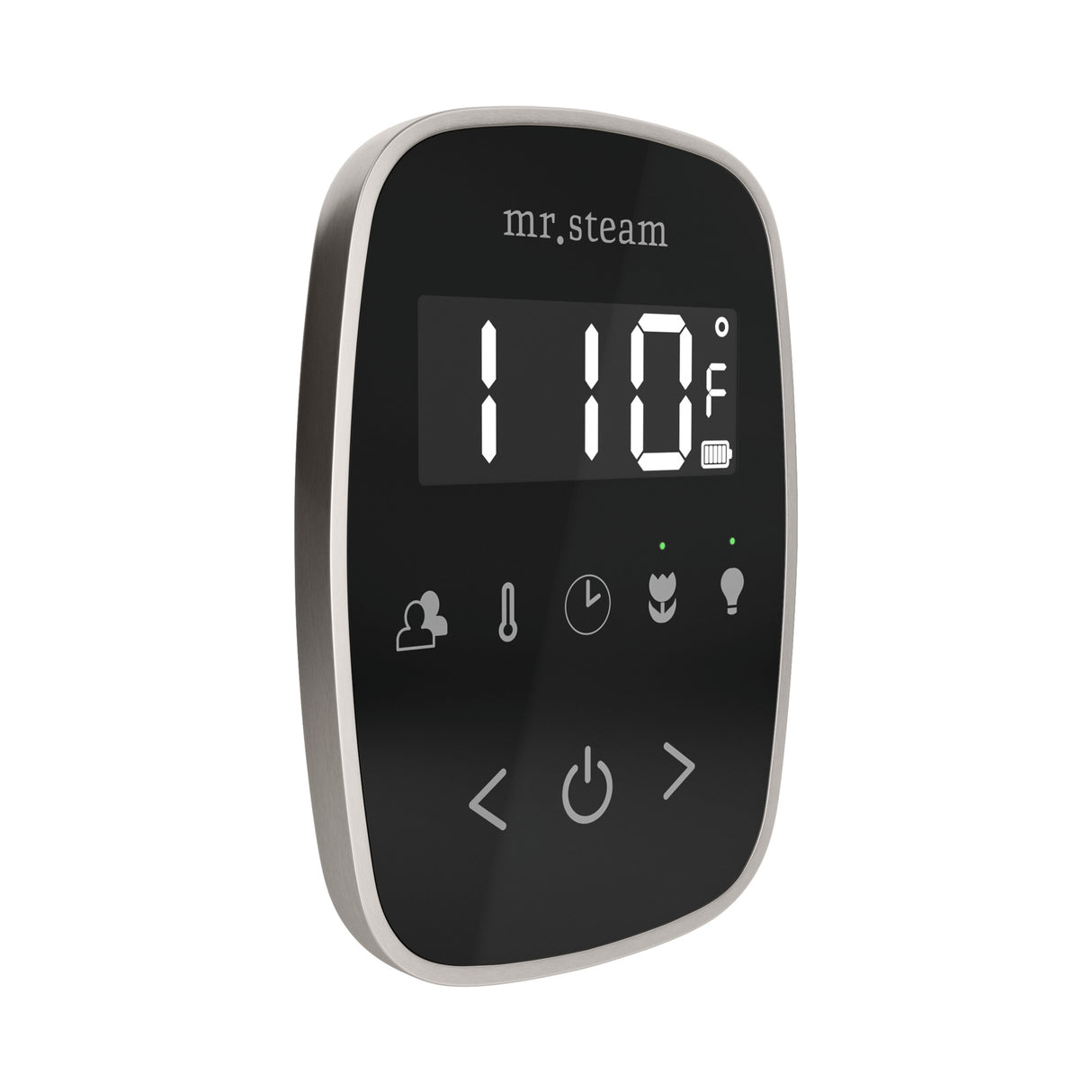 Mr. Steam TempoFlex Steam Shower Control and Steamhead Mr. Steam