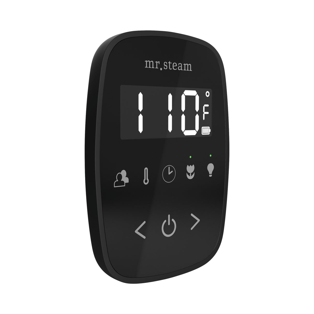 Mr. Steam TempoFlex Steam Shower Control and Steamhead Mr. Steam