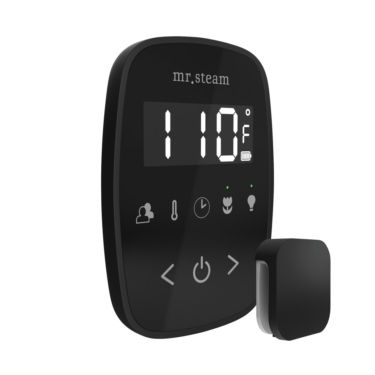 Mr. Steam TempoFlex Steam Shower Control and Steamhead Mr. Steam