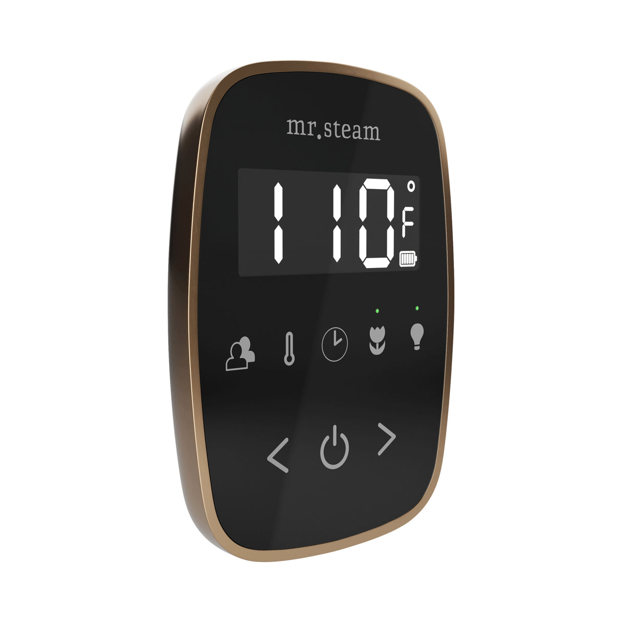 Mr. Steam TempoFlex Steam Shower Control and Steamhead Mr. Steam