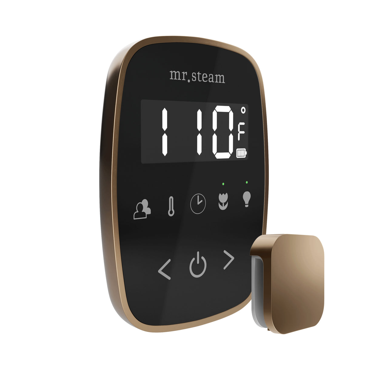 Mr. Steam TempoFlex Steam Shower Control and Steamhead Mr. Steam