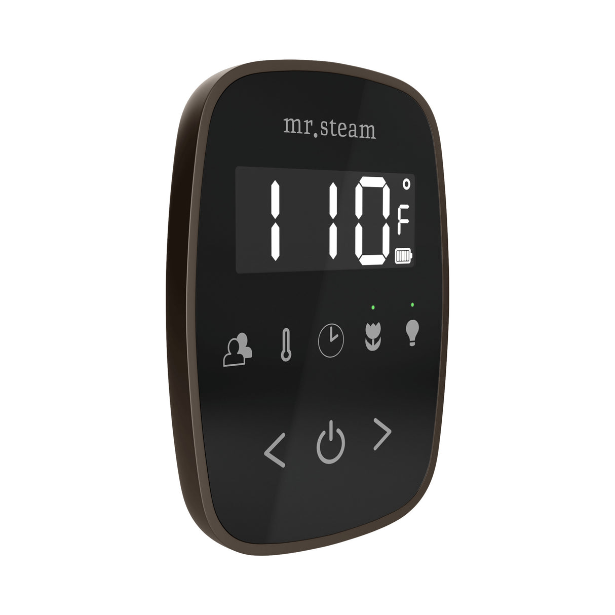 Mr. Steam TempoFlex Steam Shower Control and Steamhead Mr. Steam