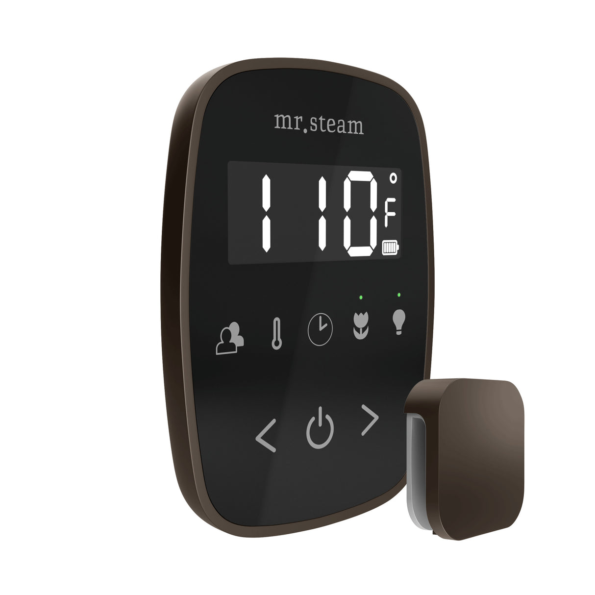 Mr. Steam TempoFlex Steam Shower Control and Steamhead Mr. Steam