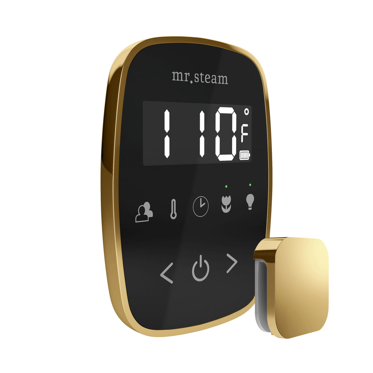 Mr. Steam TempoFlex Steam Shower Control and Steamhead Mr. Steam