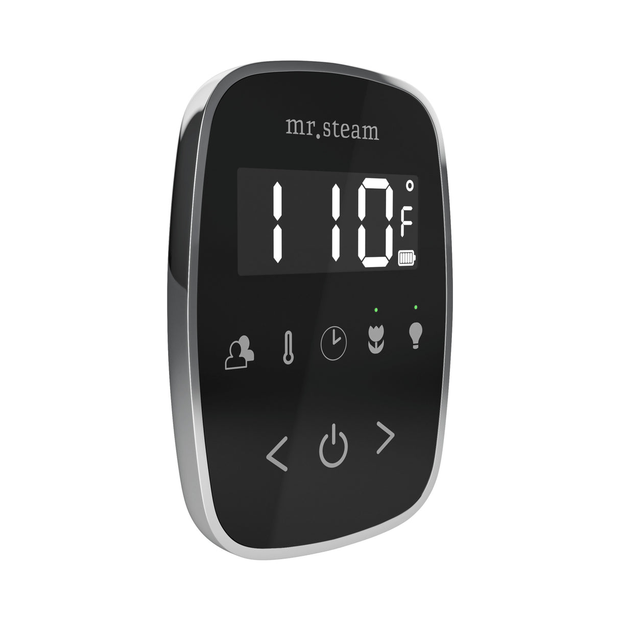 Mr. Steam TempoFlex Steam Shower Control and Steamhead Mr. Steam