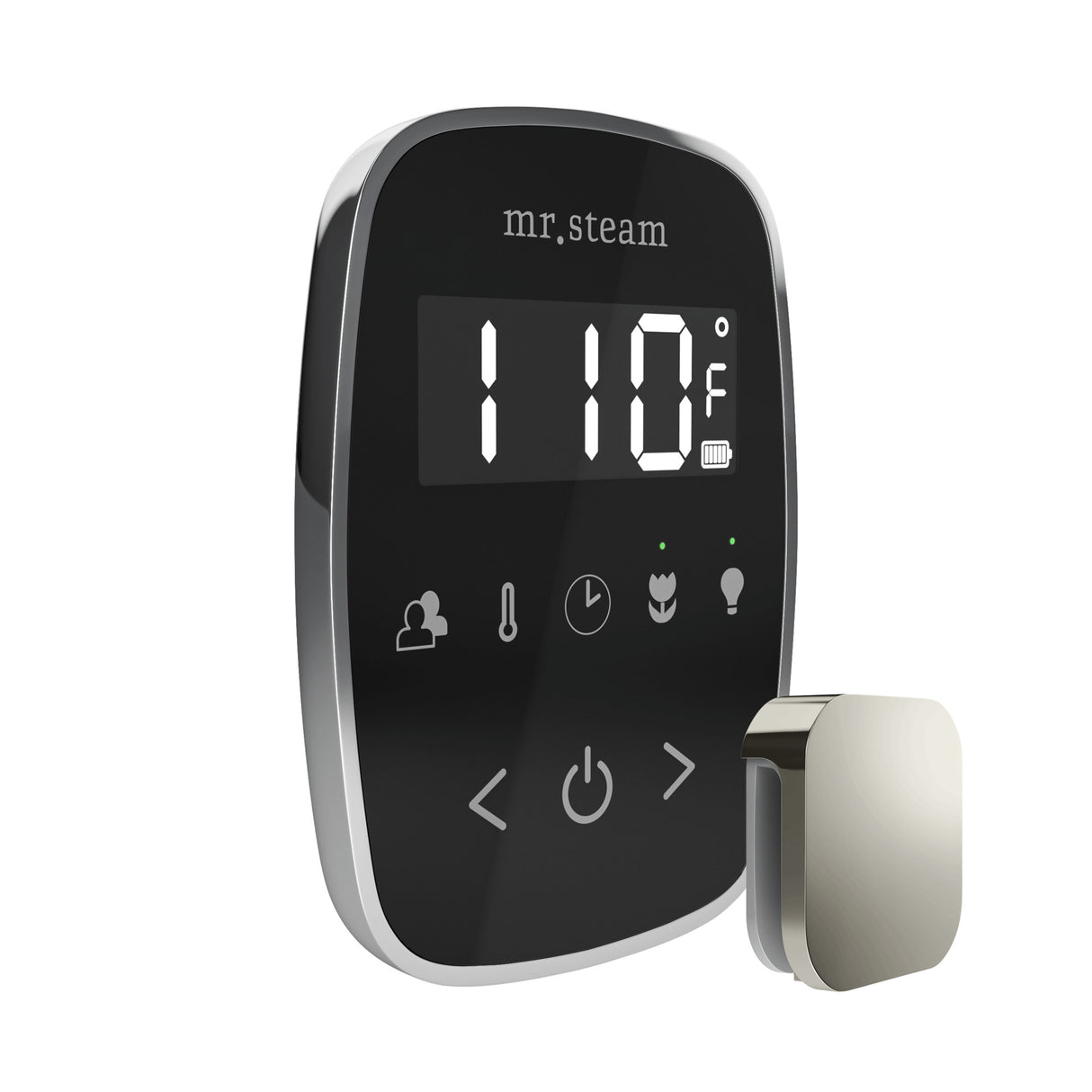 Mr. Steam TempoFlex Steam Shower Control and Steamhead Mr. Steam