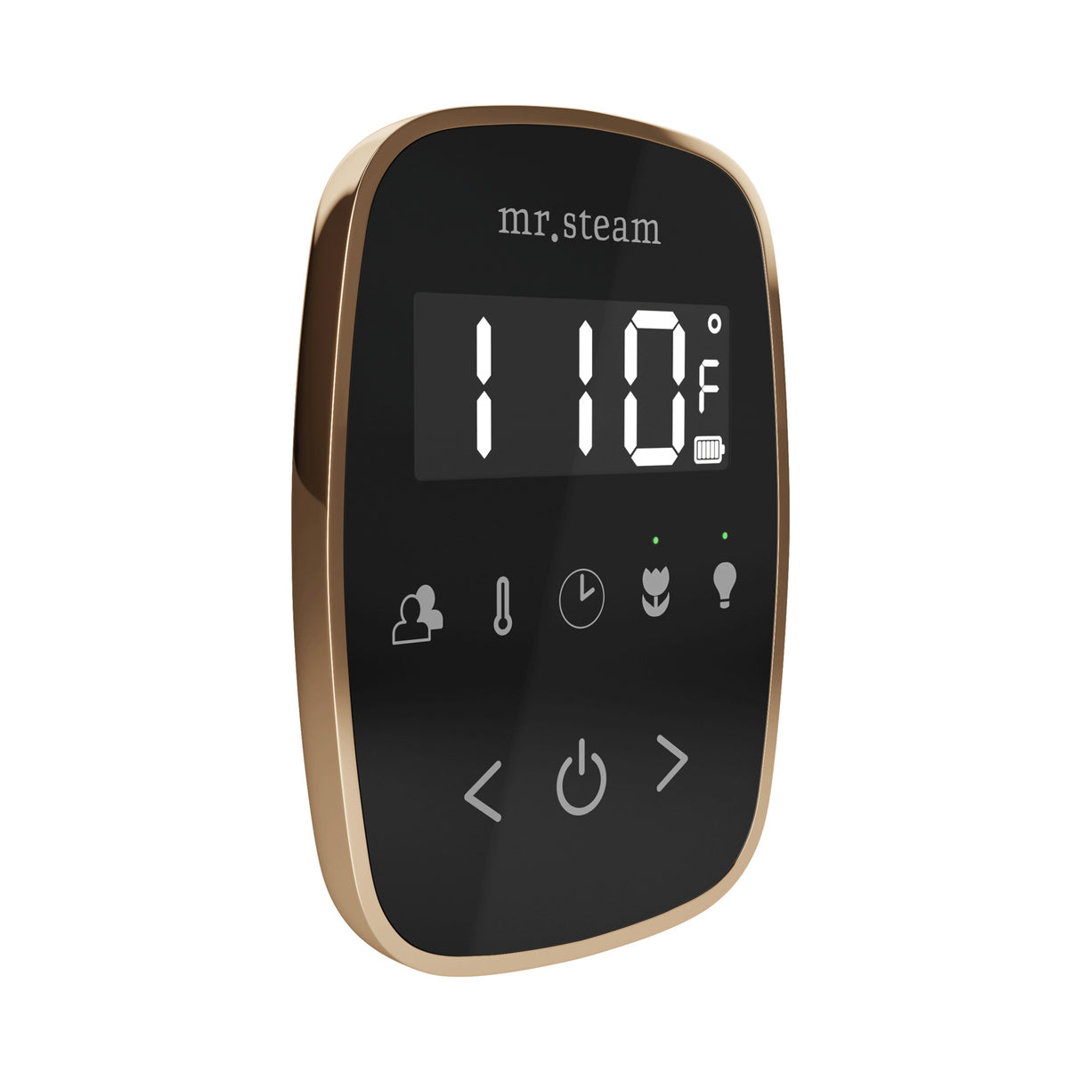 Mr. Steam TempoFlex Steam Shower Control and Steamhead Mr. Steam