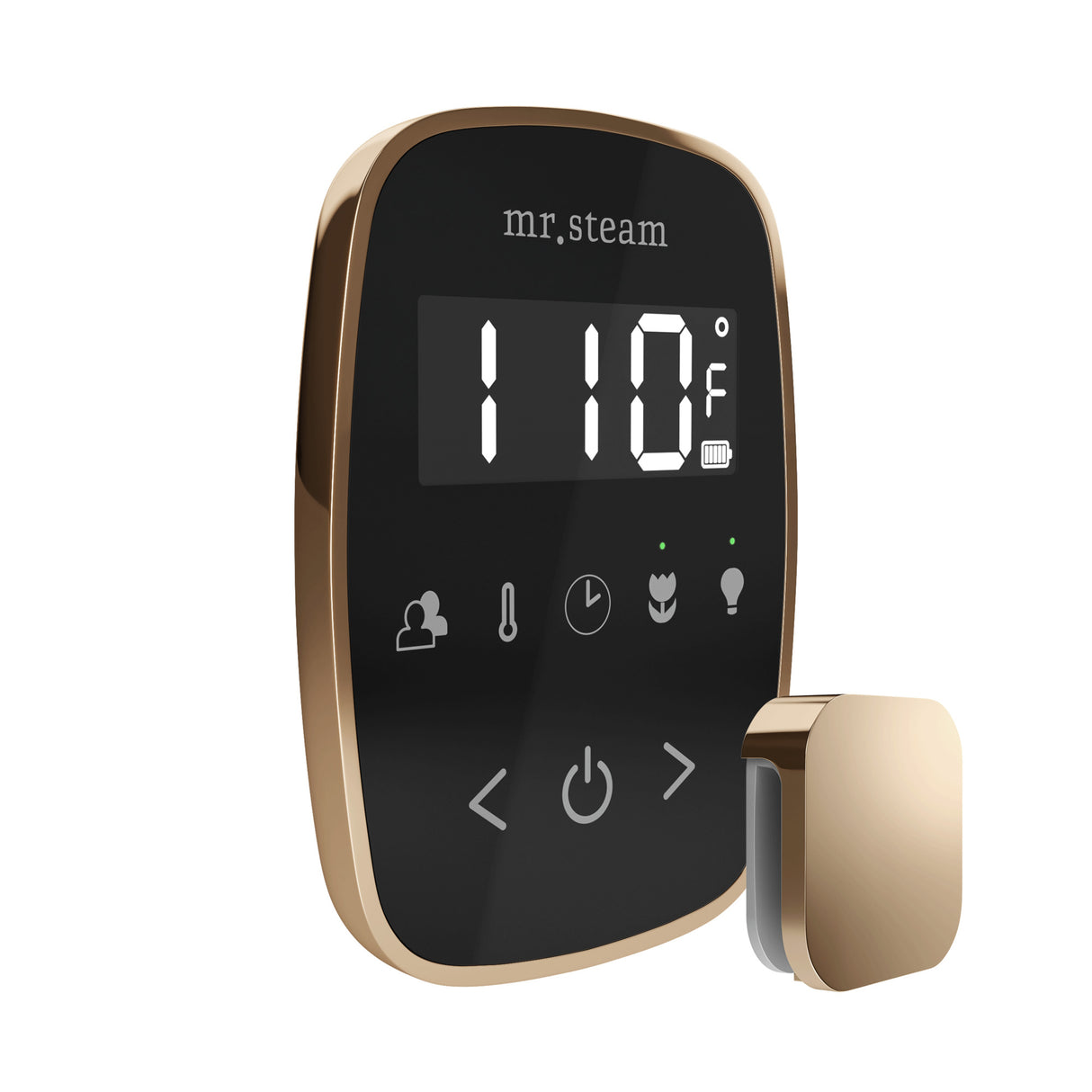 Mr. Steam TempoFlex Steam Shower Control and Steamhead Mr. Steam