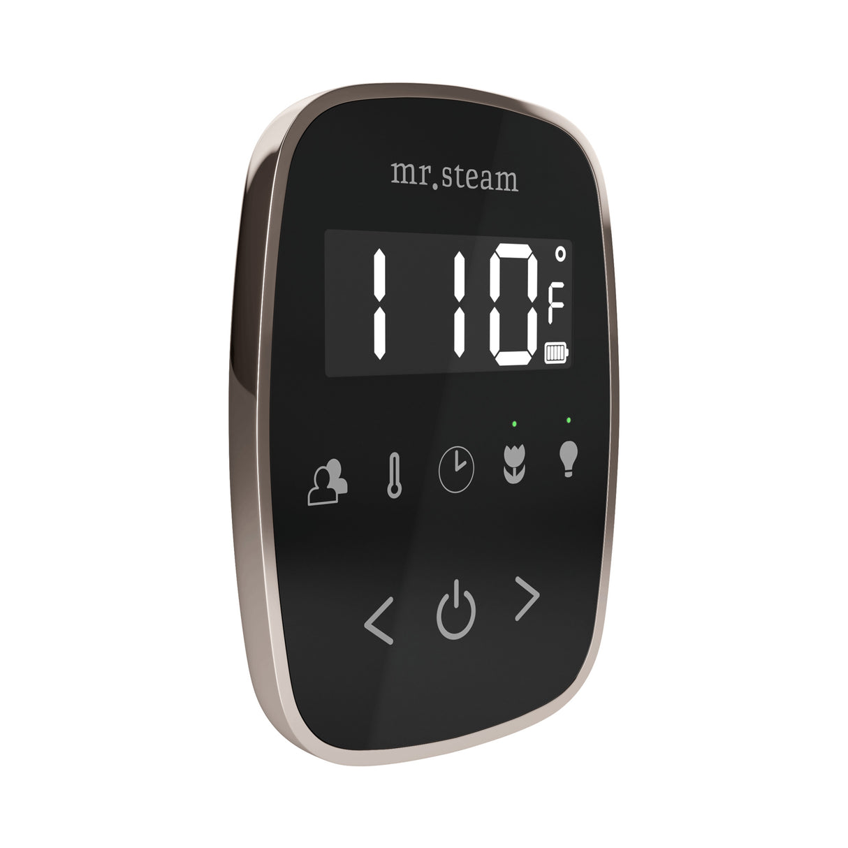 Mr. Steam TempoFlex Steam Shower Control and Steamhead Mr. Steam