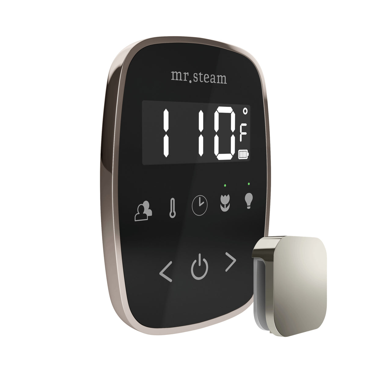 Mr. Steam TempoFlex Steam Shower Control and Steamhead Mr. Steam