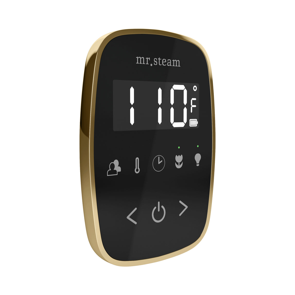 Mr. Steam TempoFlex Steam Shower Control and Steamhead Mr. Steam