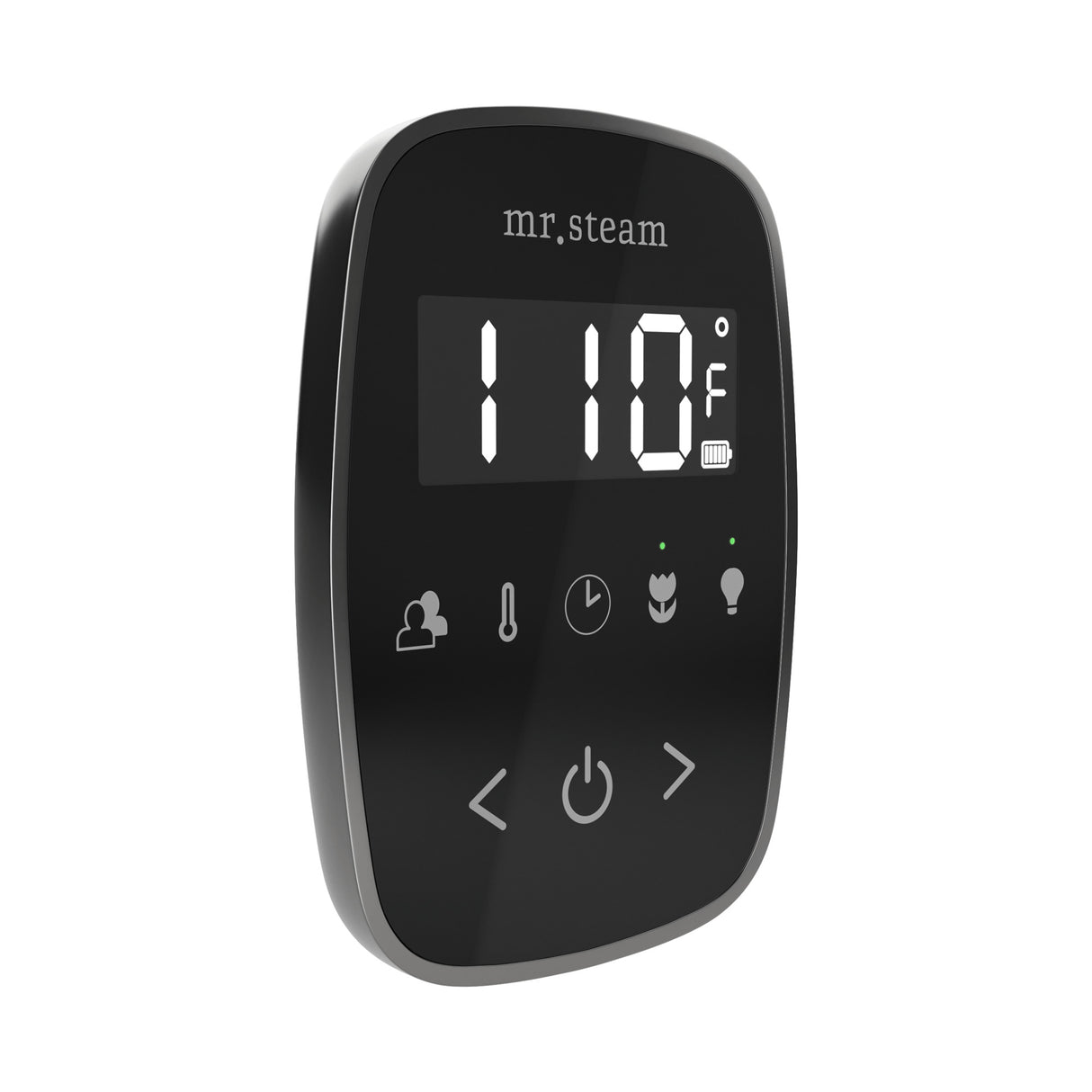 Mr. Steam TempoFlex Steam Shower Control and Steamhead Mr. Steam