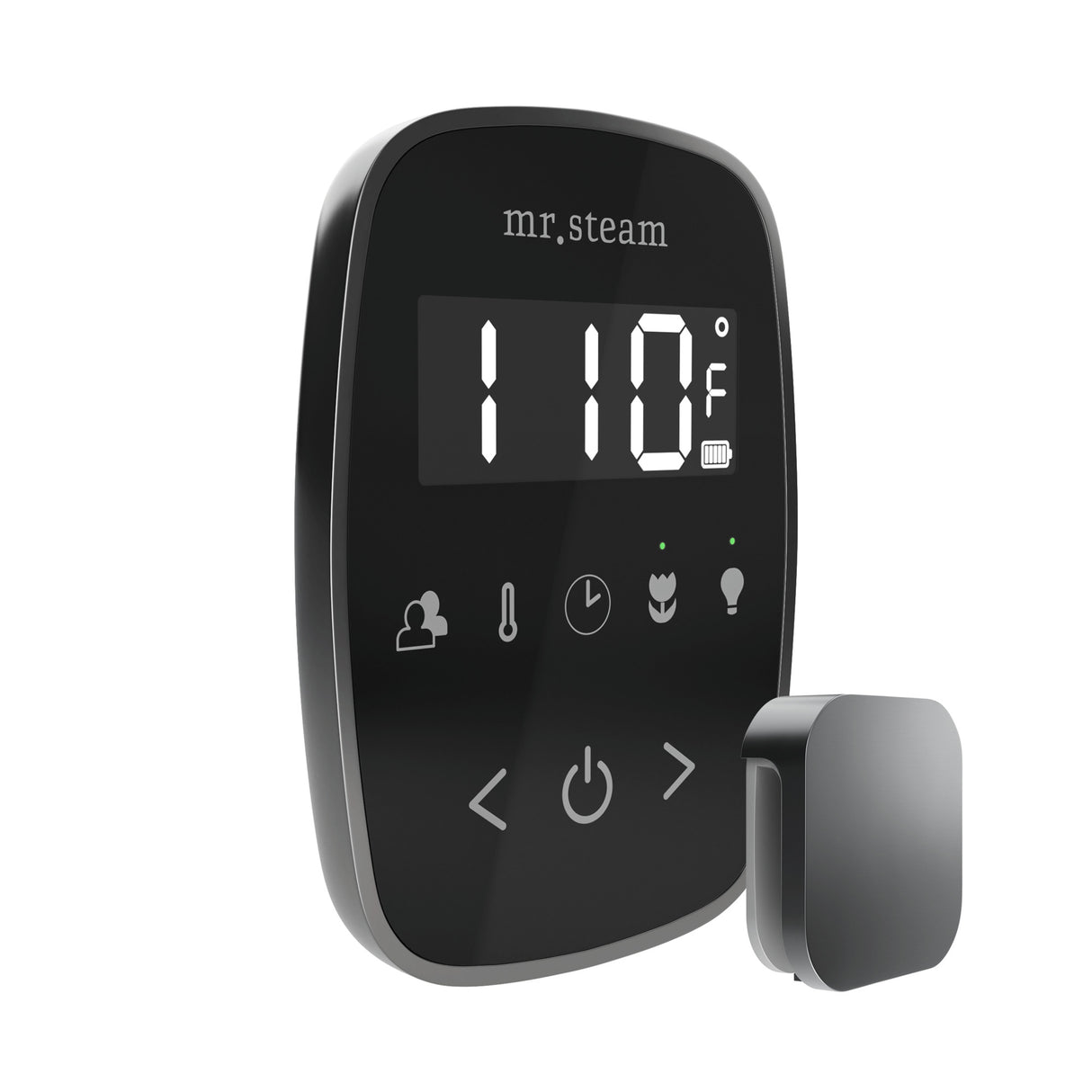 Mr. Steam TempoFlex Steam Shower Control and Steamhead Mr. Steam