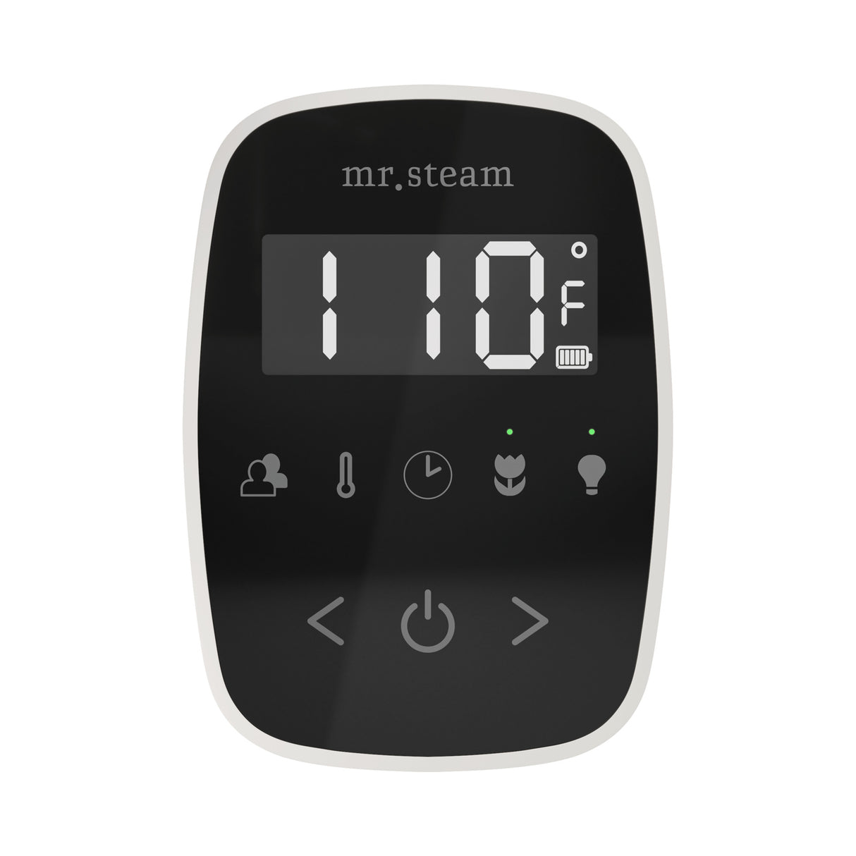 Mr. Steam TempoFlex Steam Shower Control and Steamhead Mr. Steam