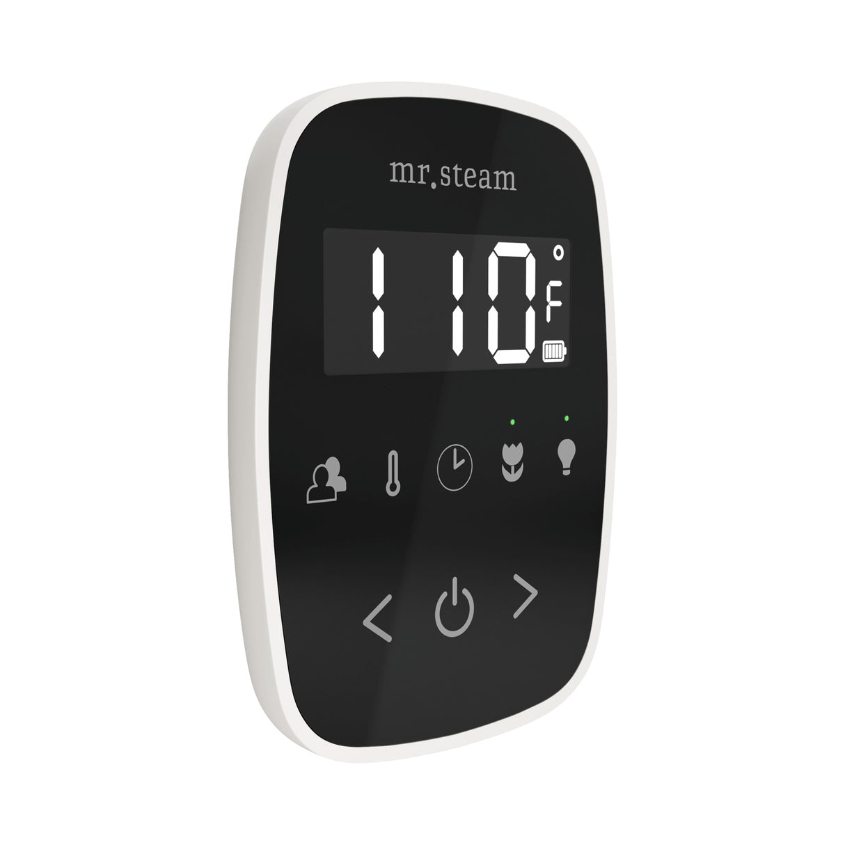 Mr. Steam TempoFlex Steam Shower Control and Steamhead Mr. Steam