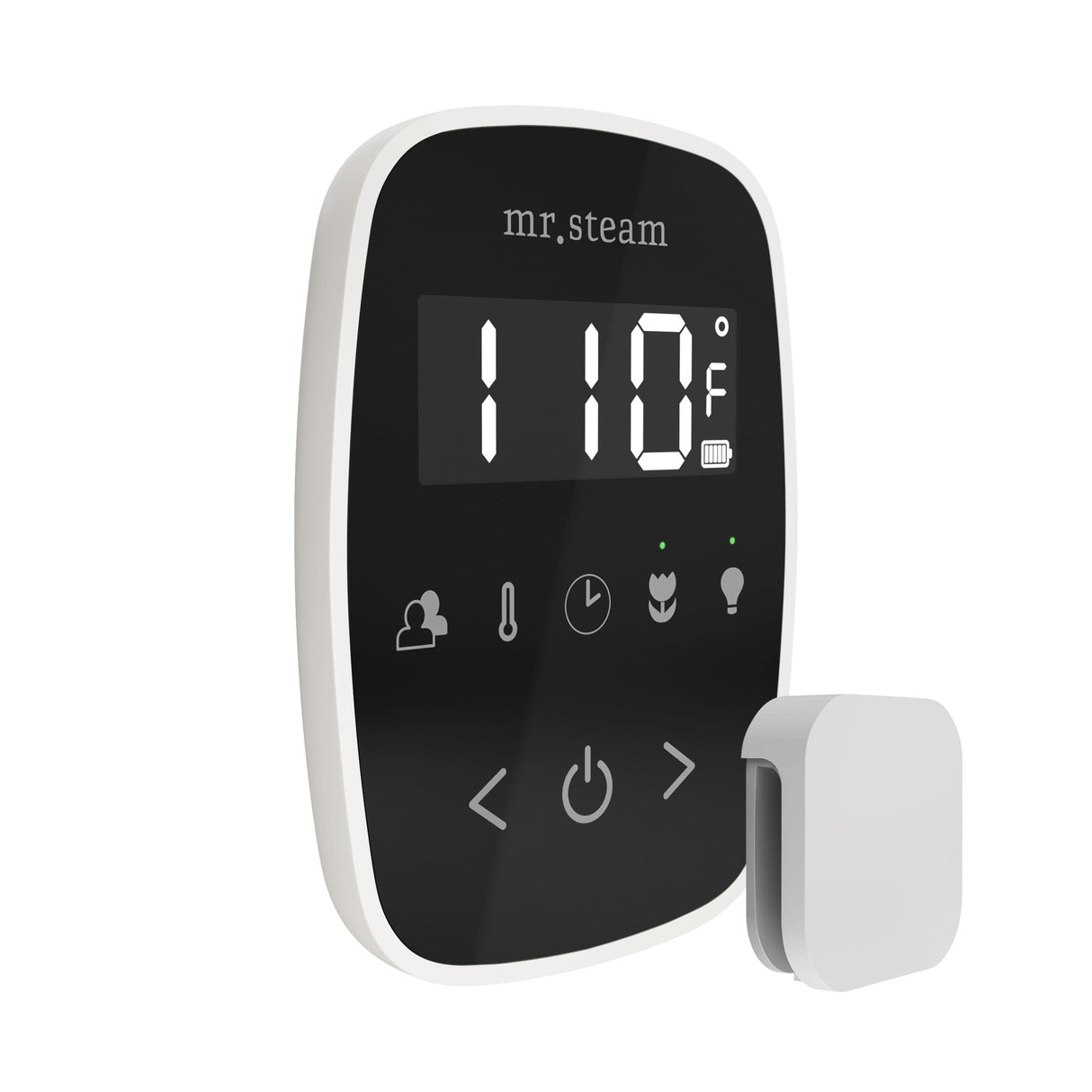 Mr. Steam TempoFlex Steam Shower Control and Steamhead Mr. Steam