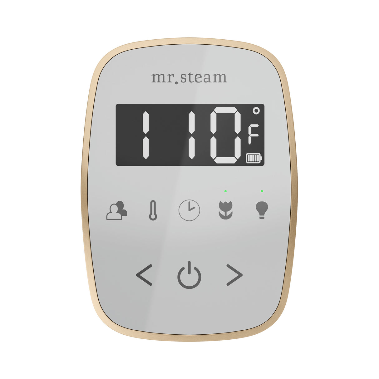 Mr. Steam TempoFlex Steam Shower Control and Steamhead Mr. Steam