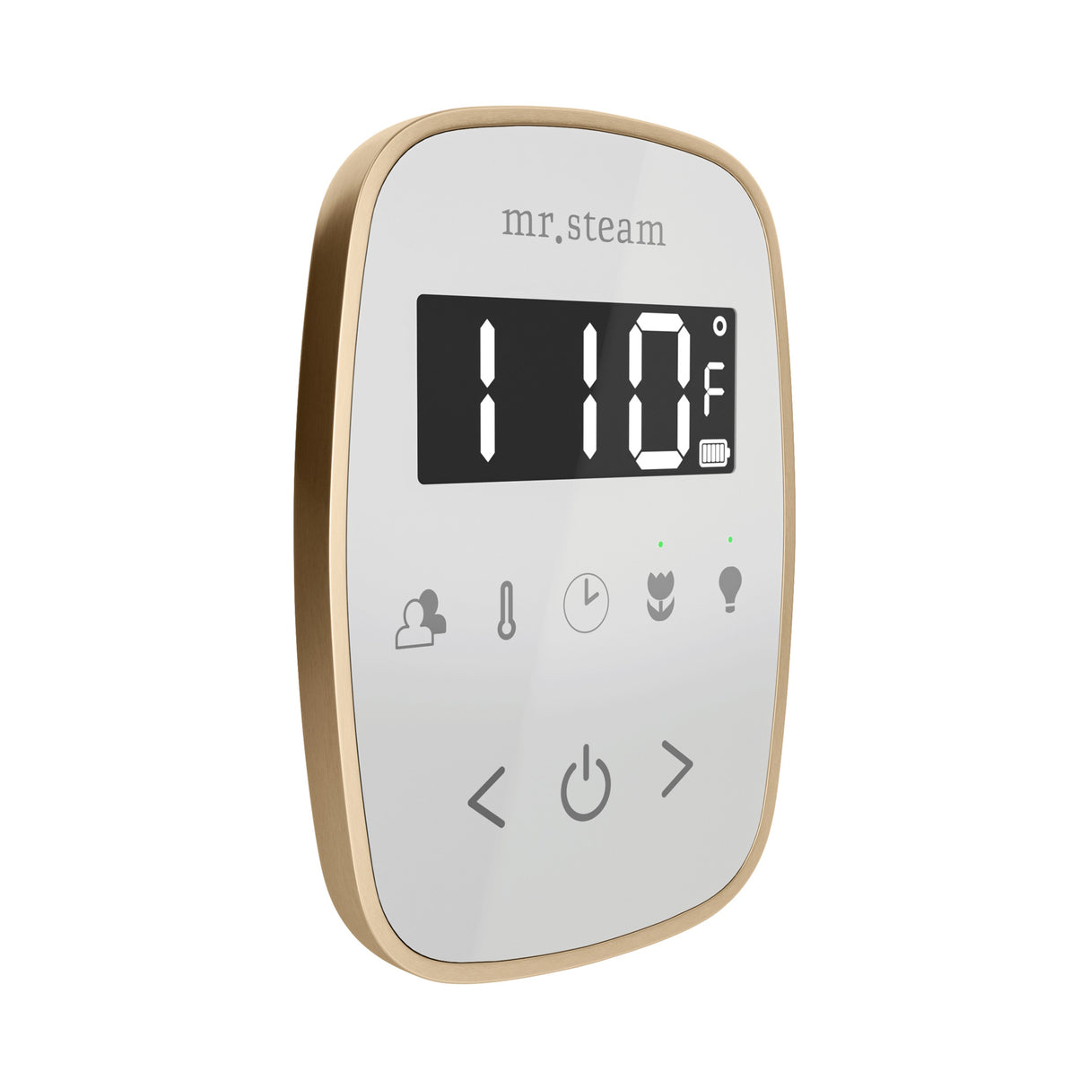 Mr. Steam TempoFlex Steam Shower Control and Steamhead Mr. Steam