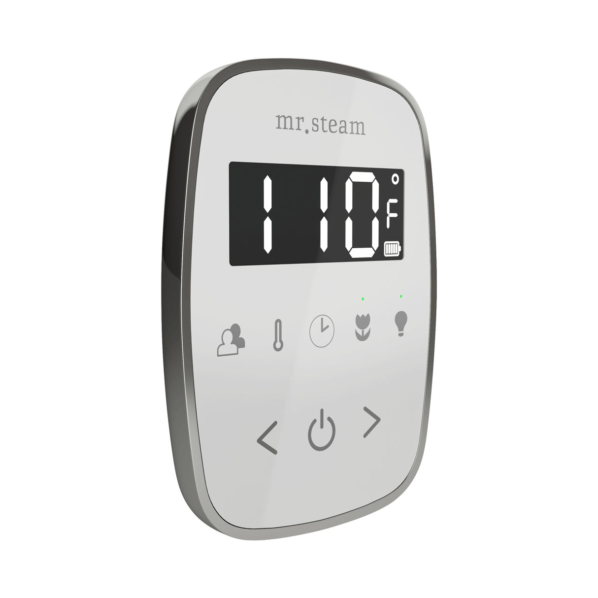 Mr. Steam TempoFlex Steam Shower Control and Steamhead Mr. Steam