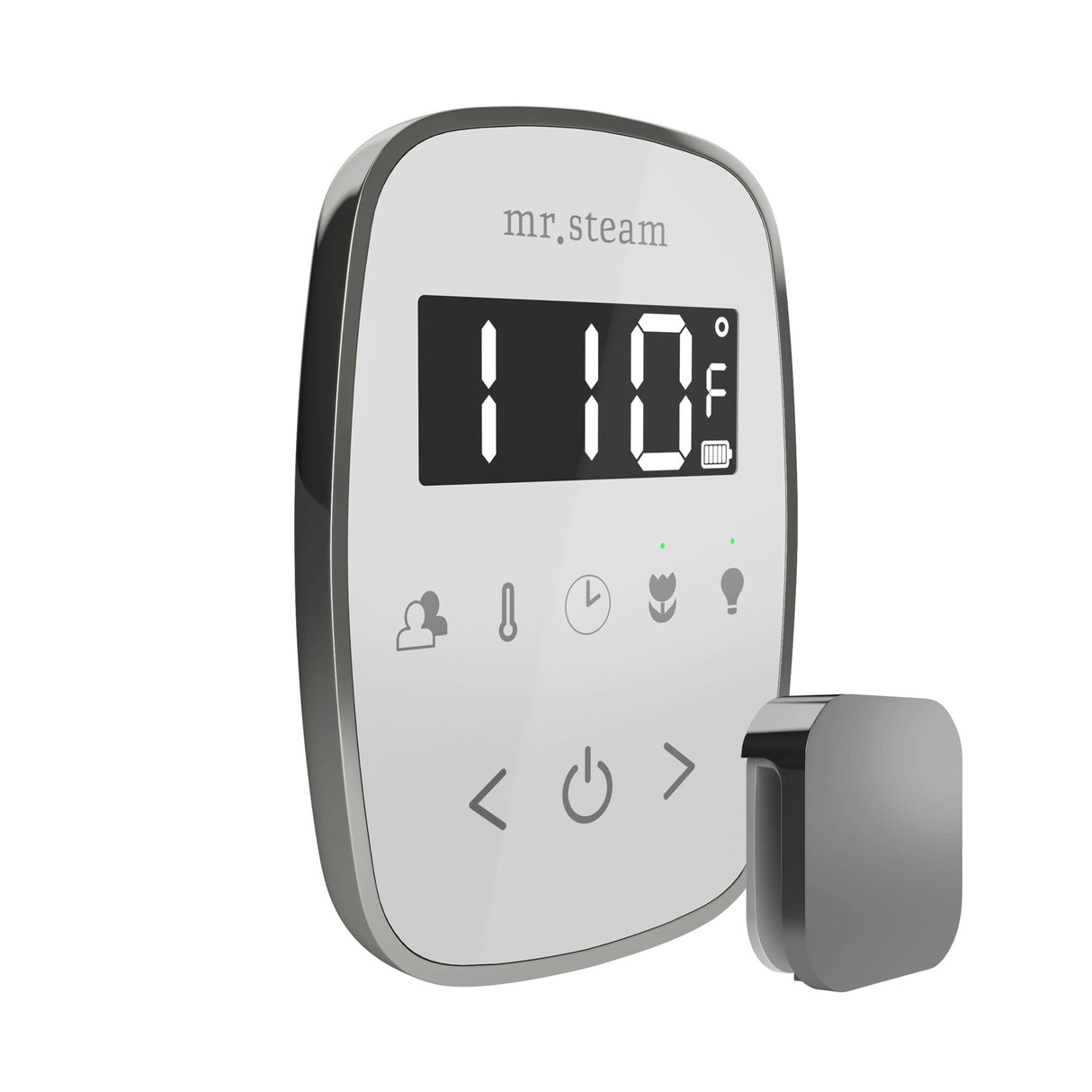 Mr. Steam TempoFlex Steam Shower Control and Steamhead Mr. Steam