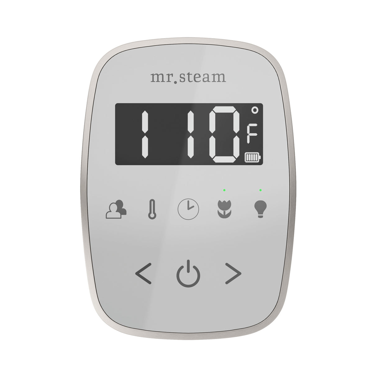 Mr. Steam TempoFlex Steam Shower Control and Steamhead Mr. Steam