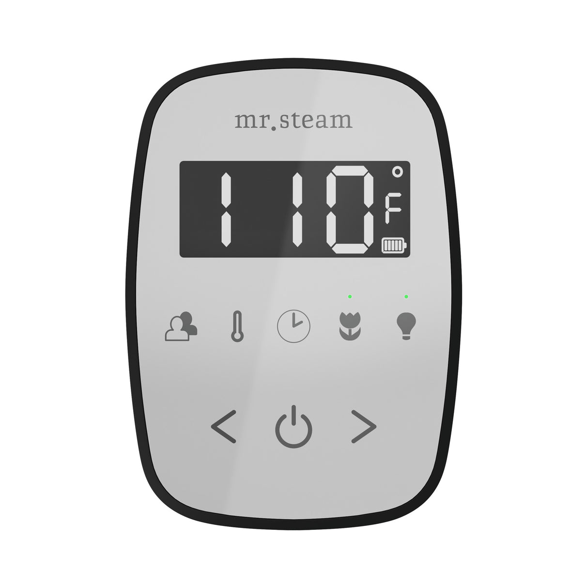 Mr. Steam TempoFlex Steam Shower Control and Steamhead Mr. Steam