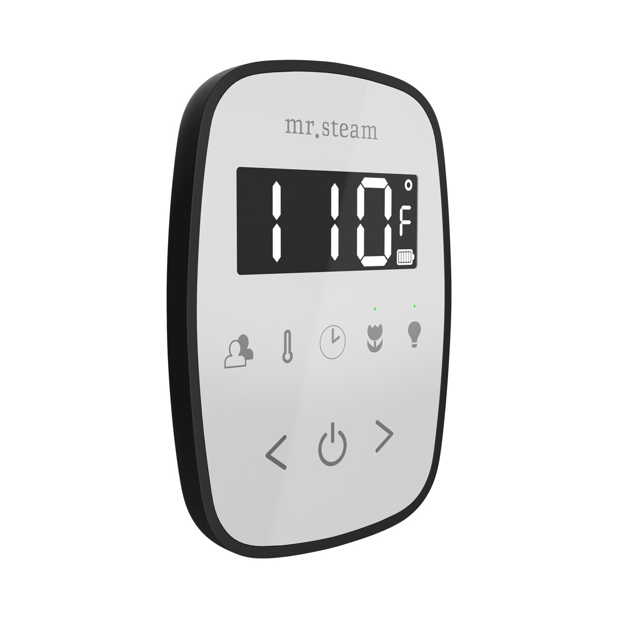 Mr. Steam TempoFlex Steam Shower Control and Steamhead Mr. Steam