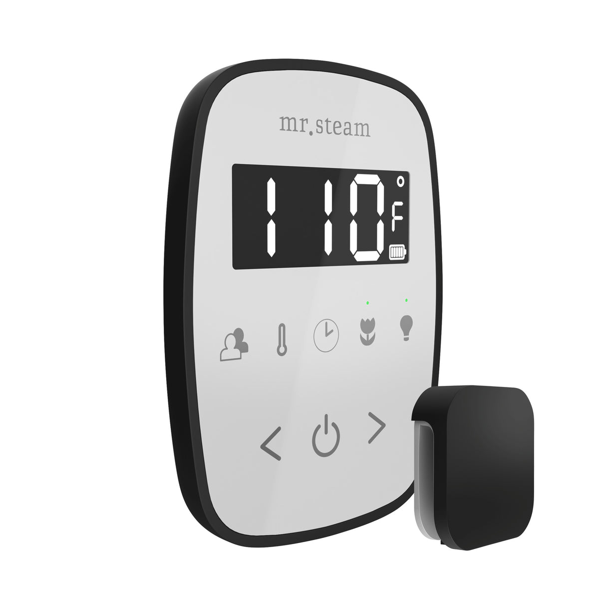 Mr. Steam TempoFlex Steam Shower Control and Steamhead Mr. Steam