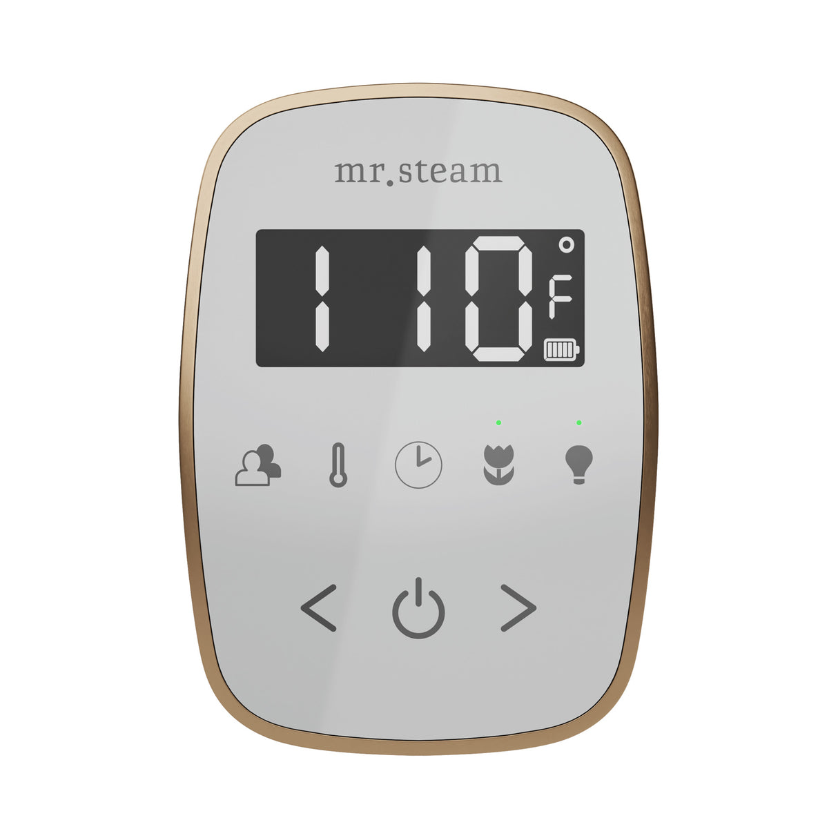 Mr. Steam TempoFlex Steam Shower Control and Steamhead Mr. Steam