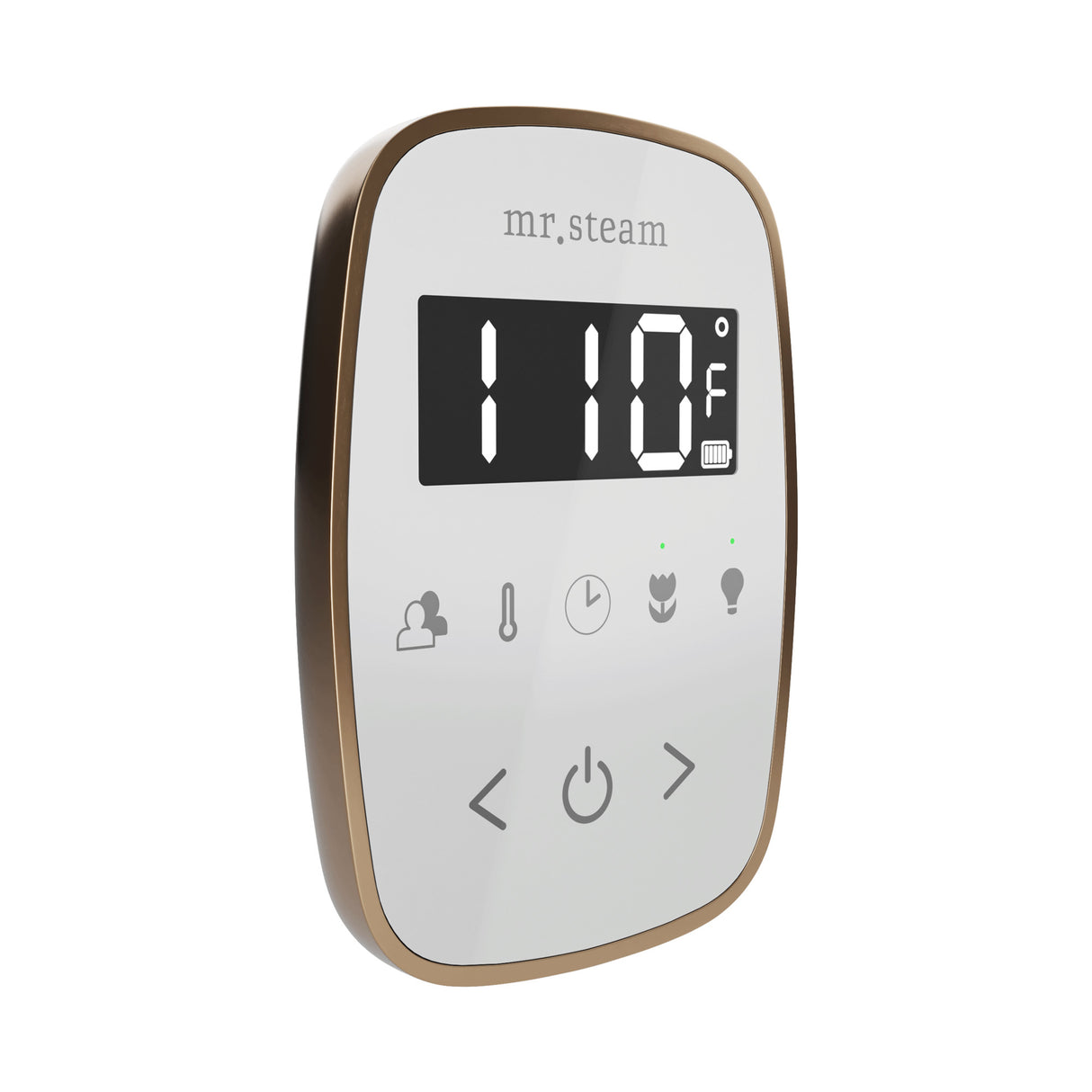 Mr. Steam TempoFlex Steam Shower Control and Steamhead Mr. Steam