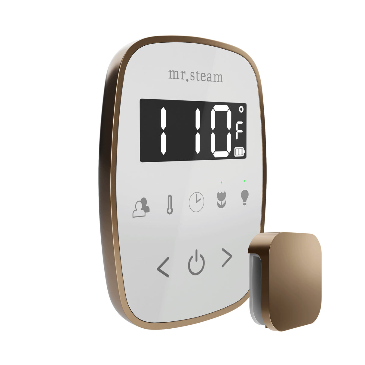 Mr. Steam TempoFlex Steam Shower Control and Steamhead Mr. Steam